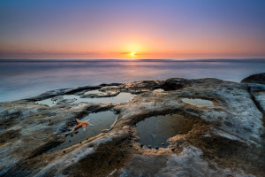 La Jolla Starfish Sunset by Mike Ver Sprill
