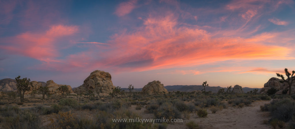 Joshua Tree National Park – Exploring, camping and tips you should know ...